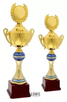 Кубок спортивный 101