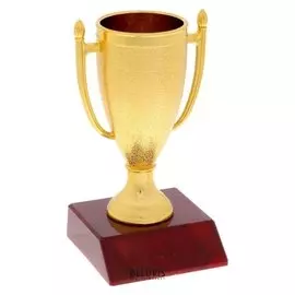 Кубок спортивный 103