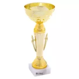 Кубок спортивный 107