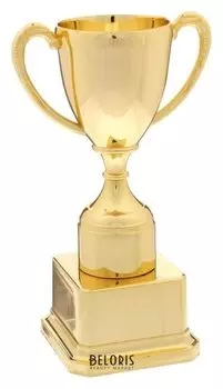 Кубок спортивный 112