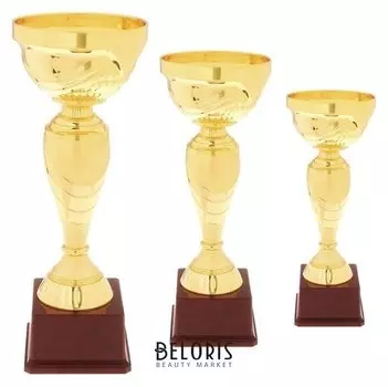 Кубок спортивный 120с