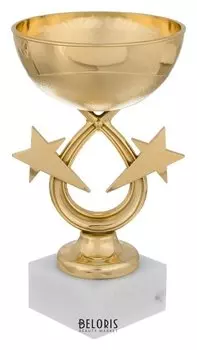 Кубок спортивный 156