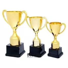 Кубок спортивный