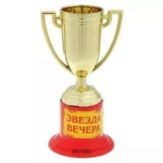 Кубок "Звезда вечера"