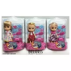 Кукла с аксессуарами