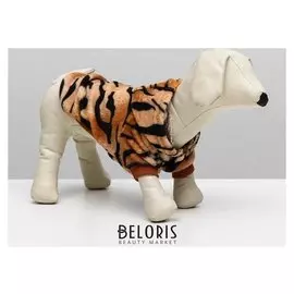 Куртка "Тигрёнок" с капюшоном, размер XS (ДС 20 см, ОГ 30 см, ОШ 20 см)