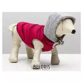 Куртка зимняя, S (ОШ 21-25, ОГ 29-36, ДС 23 см), красная