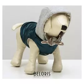 Куртка зимняя, XS (ОШ 18-22,ог 27-32,дс 20 см), синия