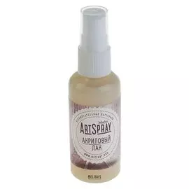 Лак акриловый, водная основа, глянцевый, полиуретановый, 50 мл, (Спрей), Wizzart Spray