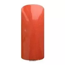 Лак для ногтей TNL