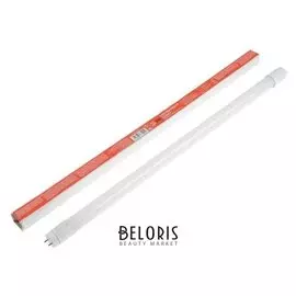 Лампа светодиодная эра, Т8, G13, 10 Вт, 6500 К, 600 мм, холодный белый