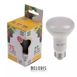 Лампа светодиодная направленного света ASD Led-r63-standard, е27, 8 Вт, 3000 К, 720 Лм