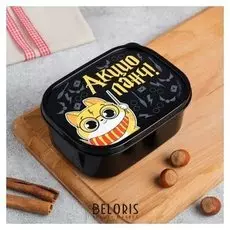 Ланч-бокс «Акцио ланч», 0.5 л