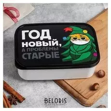 Ланч - бокс «Год новый, а проблемы старые. кот» 1,2 л
