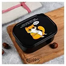 Ланч-бокс «Когда хотел съесть один кусочек», 500 мл