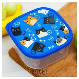 Ланч-бокс «Котики», 700 мл