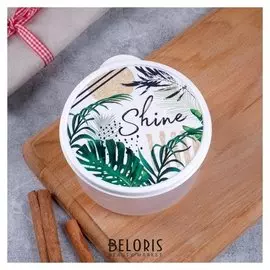 Ланч-бокс «Shine», 500 мл