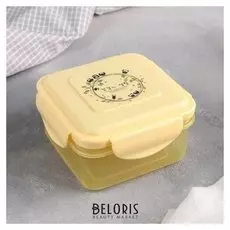 Ланч-бокс "Совушки" квадратный