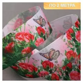 Лента репсовая «Бабочка на розах», 25 мм, 2 ± 0,1 м, разноцветная