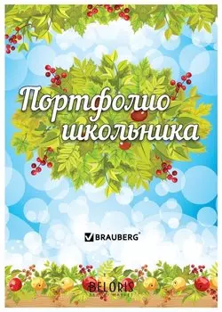 Листы-вкладыши для портфолио школьника, 14 разделов, 16 листов, Окружающий мир