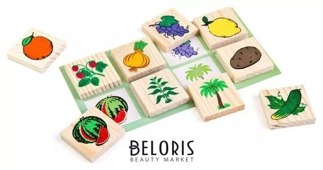 Лото Растительный мир