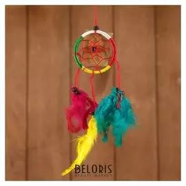 Ловец снов "Круг" разноцветный (2) 6х0,5х20 см