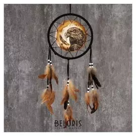 Ловец снов "Орёл", D=20 см