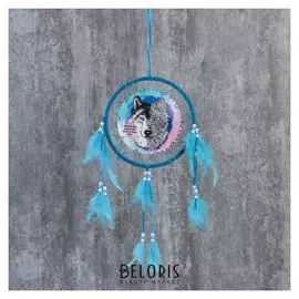 Ловец снов "Спокойной ночи, сладких снов, желаю сказочных миров", D 20 см