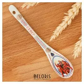 Ложка сувенирная «Север»