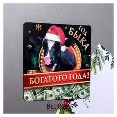 Магнит «Богатого года!»