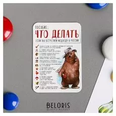 Магнит «Что делать, если вы встретили медведя»
