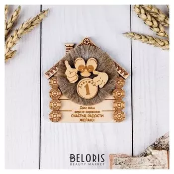 Магнит «Домовенок с монеткой», дом Ваш верно охраняю, 10х10 см