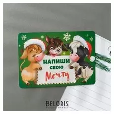 Магнит двусторонний «Напиши свою мечту»