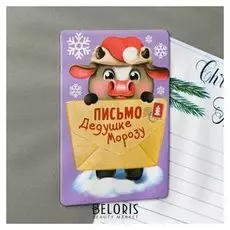Магнит двусторонний «Письмо деду морозу»