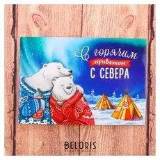 Магнит двусторонний «Север»