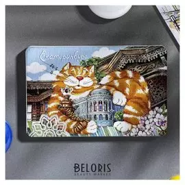 Магнит «Екатеринбург. Дом севастьянова. кот»