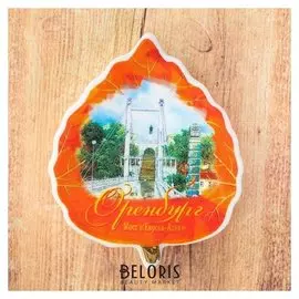 Магнит-листок «Оренбург. мост европа-азия»