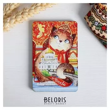 Магнит «Москва. храм христа спасителя. кошка»