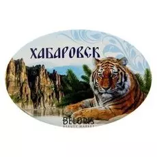 Магнит-открывашка «Хабаровск»