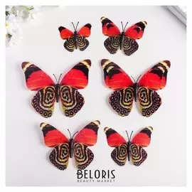 Магнит пластик под ткань "Бабочки двойные, блеск" н-р 6 шт H= 10;10,5;5;6,7;8,4;6,7 см 524076
