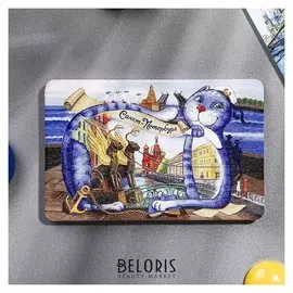 Магнит «Санкт-петербург. банковский переулок. кот»