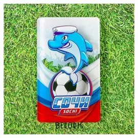 Магнит «Сочи. дельфин»