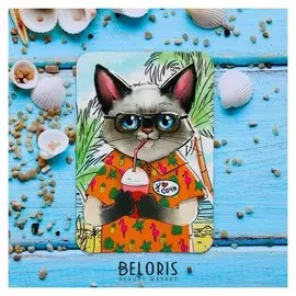 Магнит «Сочи. Кот на курорте»