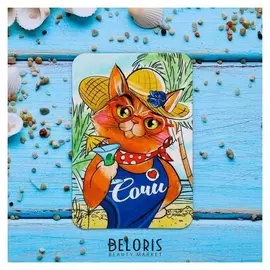 Магнит «Сочи. стильная кошка»