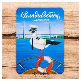 Магнит «Владивосток. чайка»