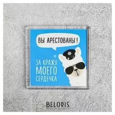 Магнит «Вы арестованы»