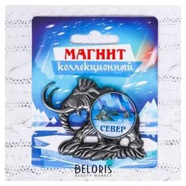 Магнит в форме мамонта «Север. северное сияние»