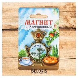 Магнит в форме самовара «Воронеж. котёнок с улицы лизюкова»