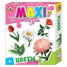 Maxi-пазлы Цветы