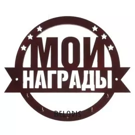 Медальница «Мои награды» с крючками, 25 х 20,8 см